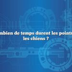 Question : Combien de temps durent les points chauds chez les chiens ?